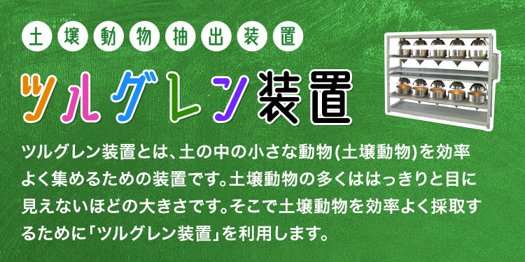 土壌動物抽出装置 ツルグレン装置 ツルグレン装置とは、土の中の小さな動物(土壌動物)を効率よく集めるための装置です。土壌動物の多くははっきりと目に見えないほどの大きさです。そこで土壌動物を効率よく採取するために「ツルグレン装置」を利用します。